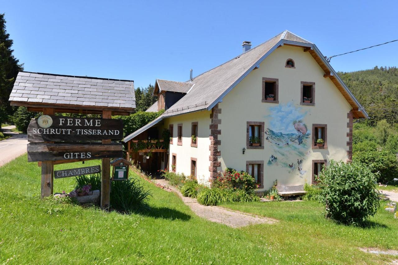 Gites Ou Chambres D'Hotes A La Ferme Orbey Exteriör bild